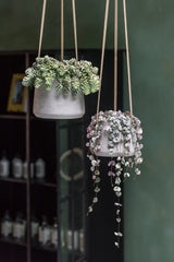 Hanging Patt Set Grau (2er Set) Finestgreen