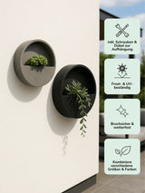 Hanging Wally Grau Finestgreen