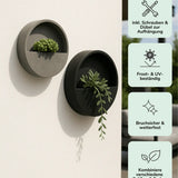 Hanging Wally Grau by Pottery Pots, a stylish wall planter with a sleek design and vibrant green plants.