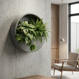Hanging Wally in grey by Pottery Pots, featuring a modern design with a plant nestled inside a wall-mounted holder.