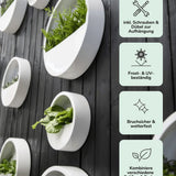 Hanging Wally in matte white by Pottery Pots, featuring a modern design for indoor plant display.