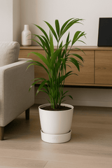 4er Pflanzenset Tierfreundlich Finestgreen