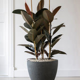 Jesslyn Granite Midnight Black Finestgreen