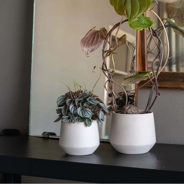 Pflanzgefäße aus Keramik