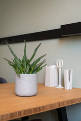 Charlie Grey Washed Finestgreen