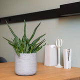 Charlie Grey Washed Pottery Pots, showcasing a textured ceramic design and neutral color, perfect for home decor. || Robustes Material aus Zementbeton & Glasfasern