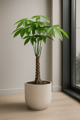 4er Pflanzenset Tierfreundlich Finestgreen