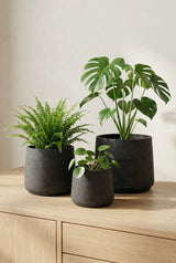 Patt Black Washed 3er Set Finestgreen