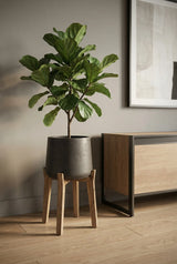 Patt Black Washed Feet High Finestgreen