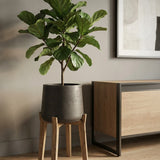 Patt Black Washed Feet High Finestgreen || Abgebildete Größe: XXL