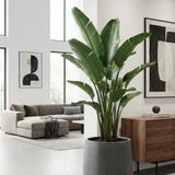 Patt Fiberstone Grau Finestgreen