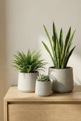 Patt Grey Washed 3er Set Finestgreen