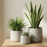 Patt Grey Washed 3er Set Finestgreen || Abgebildete Größen: S, M & L