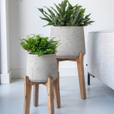 Patt Grey Washed Feet High Finestgreen || Abgebildete Größe: XL & XXL