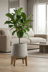 Patt Grey Washed Feet Low Finestgreen