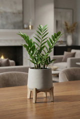 Patt Grey Washed Feet Low Finestgreen