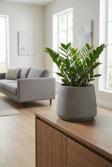 Patt Mocha Washed Finestgreen