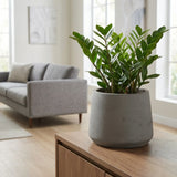 Patt Mocha Washed Finestgreen || Abgebildete Größe: L