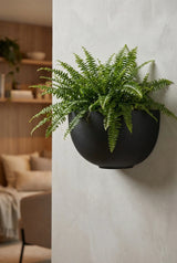 Hanging Wally Peter Schwarz Finestgreen