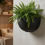 Hanging Wally Peter Schwarz Finestgreen