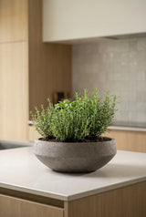 Madu Mocha Washed Finestgreen