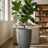 Ben Fiberstone Grau Finestgreen