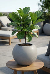 Beth Fiberstone Grau Finestgreen