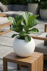 Beth Matt Weiß Finestgreen