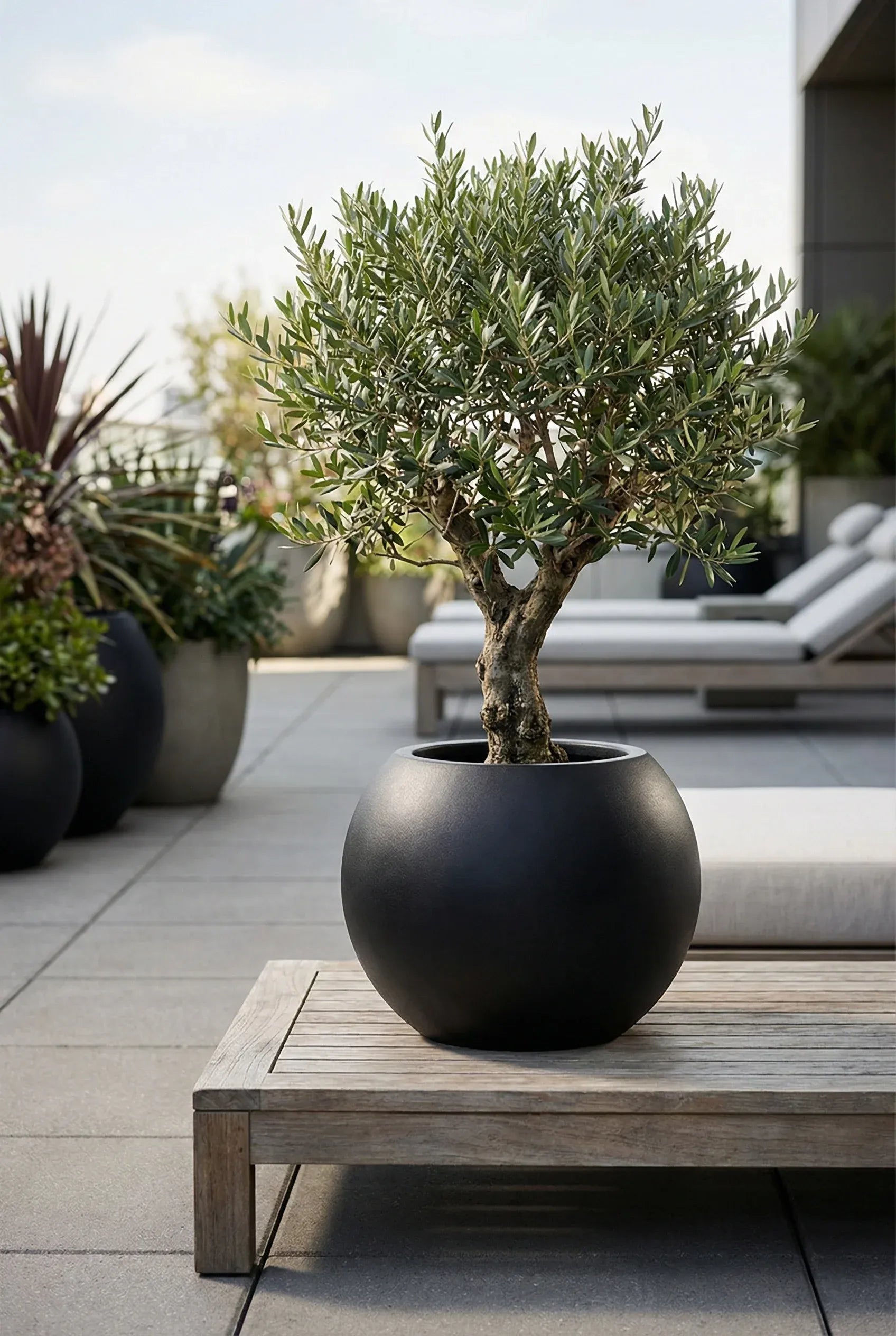 Kugelförmiger Pflanztopf aus Fiberstone – Beth Schwarz