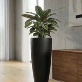 Dax Granite Midnight Black Finestgreen