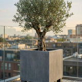 Jumbo Fiberstone Grau (mit Füßen) Finestgreen
