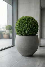 Jumbo Orb Fiberstone Grau Finestgreen