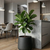 Patt Granite Midnight Black Finestgreen