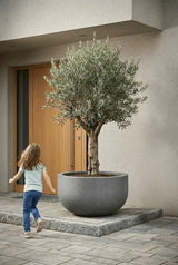 Jumbo City Bowl in Fiberstone Grau by Pottery Pots, showcasing a textured gray planter with a modern design.