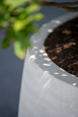 Jumbo Orb Ivory Washed - Finestgreen || Frost- & UV-beständig | Robuster Ficonstone