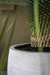 Jumbo Orb Ivory Washed - Finestgreen || Offenporige Oberfläche