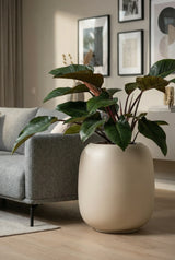 Sphere Elemental - Seidenweiß Finestgreen