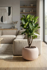 Sphere Low Elemental - Puderrosa Finestgreen