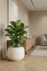 Sphere Low Elemental - Seidenweiß Finestgreen