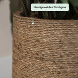 Patt Straw Grass Finestgreen
