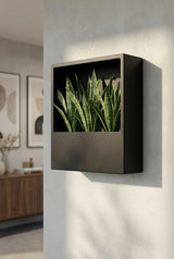 Hanging Wally Jack Schwarz Finestgreen