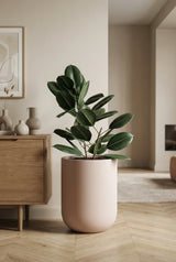 Zenith Elemental - Puderrosa Finestgreen