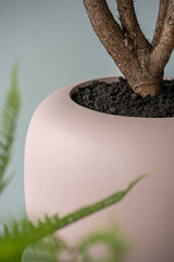 Sphere Low Elemental - Puderrosa Finestgreen