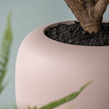 Sphere Low Elemental - Puderrosa