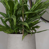Hanging Patt Grau by Pottery Pots featuring a textured gray design, ideal for indoor or outdoor plant display.