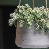 Hanging Patt Grau by Pottery Pots with a textured, rough surface and a modern design, ideal for indoor or outdoor plants. || Offenporige Oberfläche