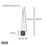 Hanging Charlie Schwarz