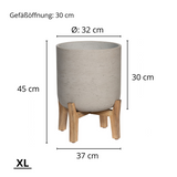 Charlie Grey Washed Feet Low