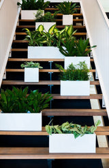 Balcony Matt Weiß Finestgreen