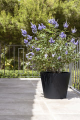 Bucket Fiberstone Schwarz